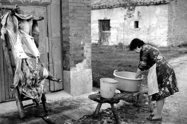 matanza.jpg